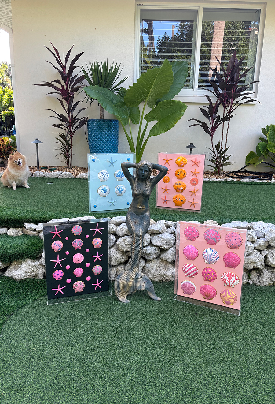 Hand-Painted Seashell Art