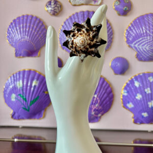 Natural Conch Seashell Ring