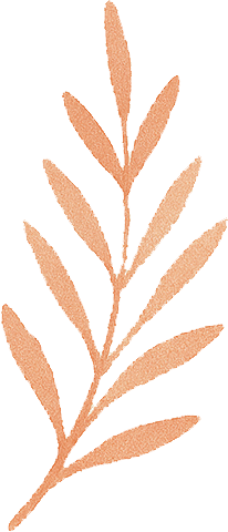 Hand-Painted Seashell Art