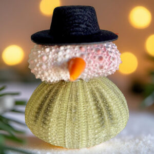 snowman-sea-urchin-figurine-01a